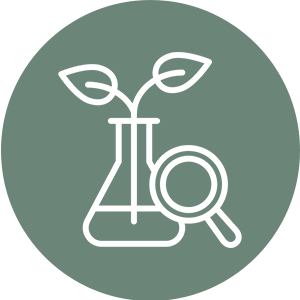 Ícone-AuroraPrancheta-1_3.png