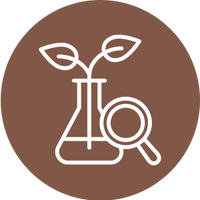 Tecnológica